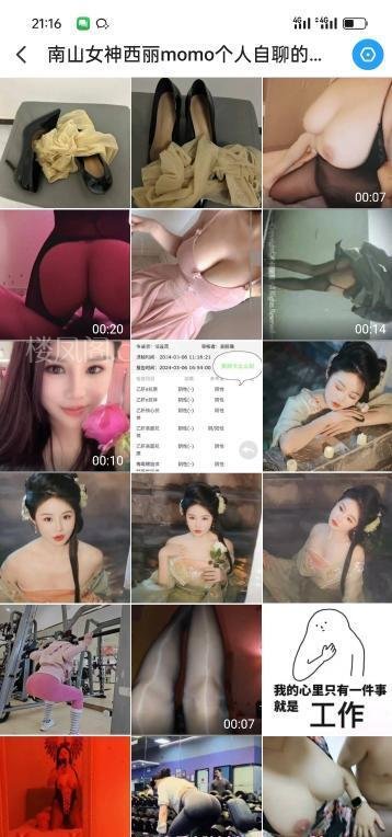 广东深圳西丽女神momo 